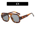 C1