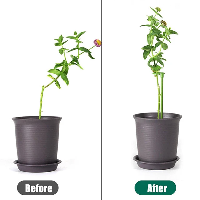 6 db Növény Támogatja A Pillangók Orchidea Pozsgás Növényeket Virágzöldség Növényi Állvány Cserepes Tartó Rudak Kerti Kellékek - Image 4