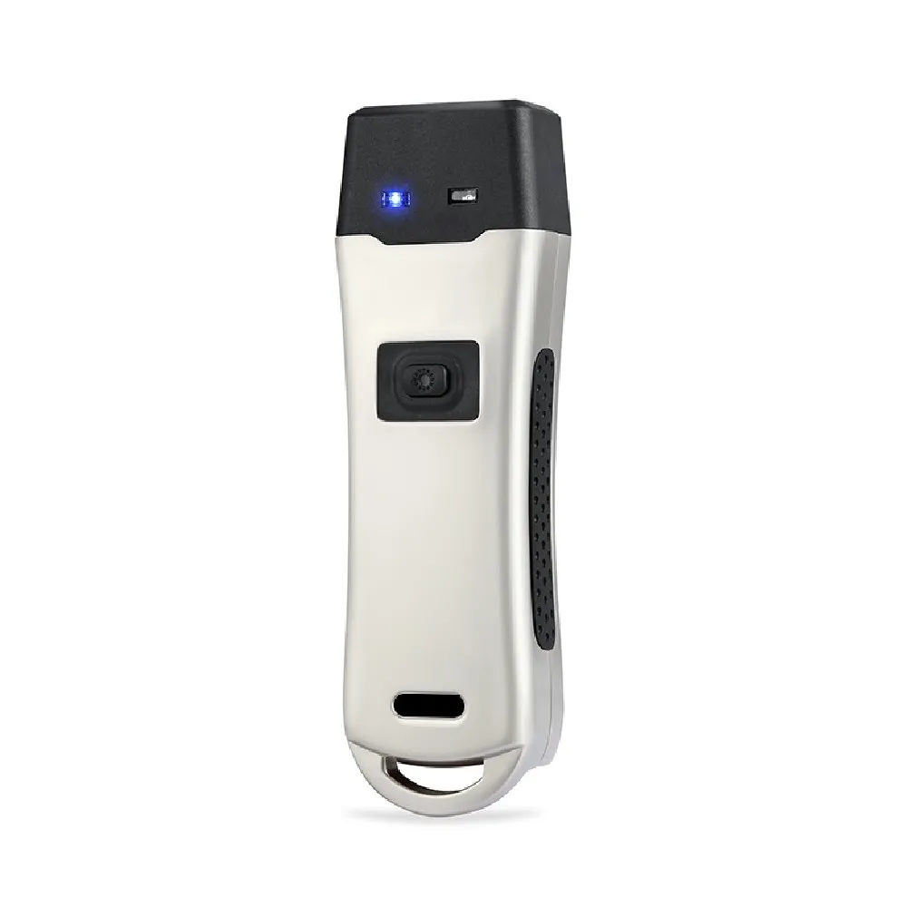 Patrol Guard Clocking System with LED Torch 125Khz Working