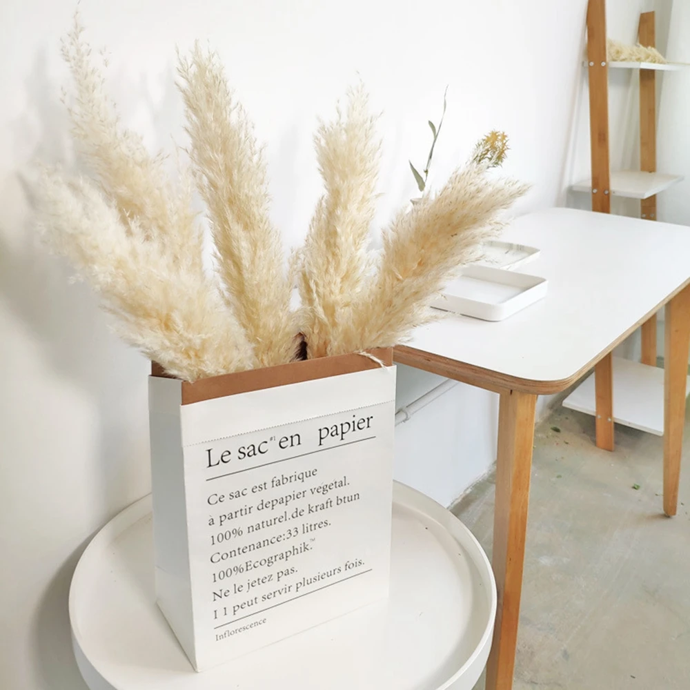 

Natural Pampas Grass Real Dried Reed Flowers Decorations for Decor Home Wedding Christmas Decoration Flower Bouquet Arrangement