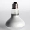 100W Solar Heating Lamp UVB Turtle Lizard Reptile Ultraviolet Light Bulb Amphibian Reptile Terrace Accessories Heating Supplies 4