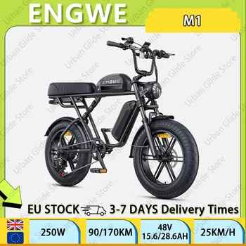 ENGWE M1 City E-Bike, motore da 250W, doppia batteria al litio da 48V15.6AH/28.6AH, pneumatici all-terrain da 20 pollici, bicicletta elettrica da montagna
