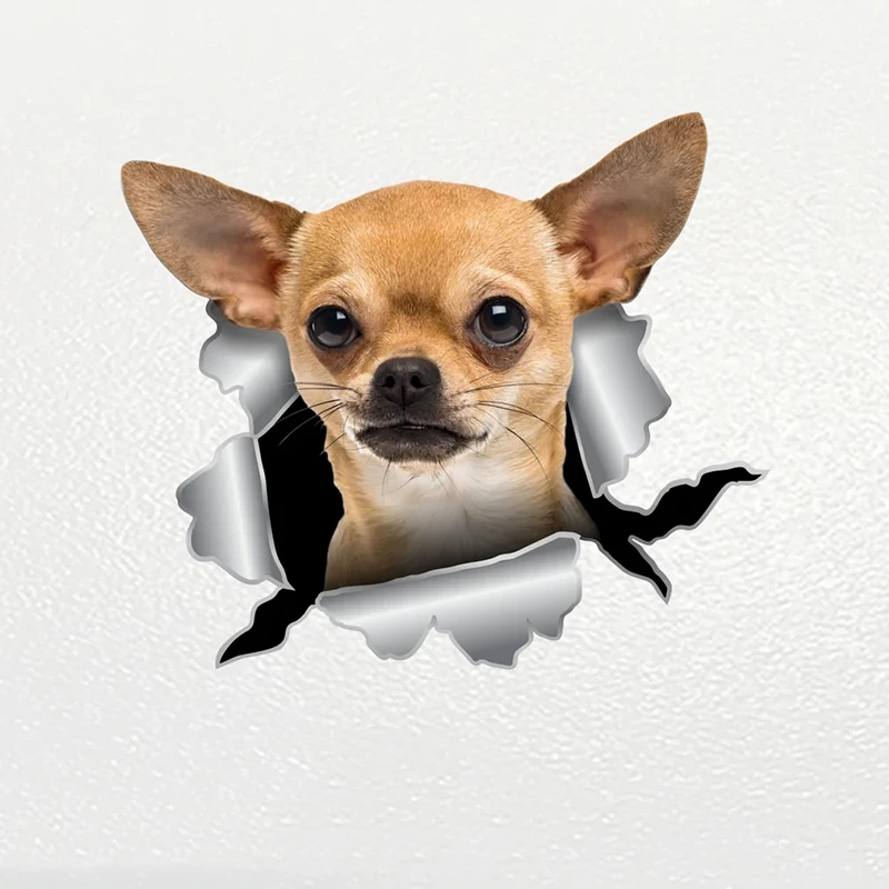 Aufkleber Auto, Personalisiert, Chihuahua, Hund, Car Sticker in Köln -  Köln Merheim, Tuning & Styling Anzeigen