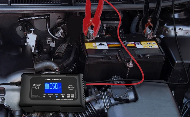 Caricabatteria Auto HTRC 25A Smart - Per 12V/24V, Lithium, LiFePo4 E Piombo - Foto 10