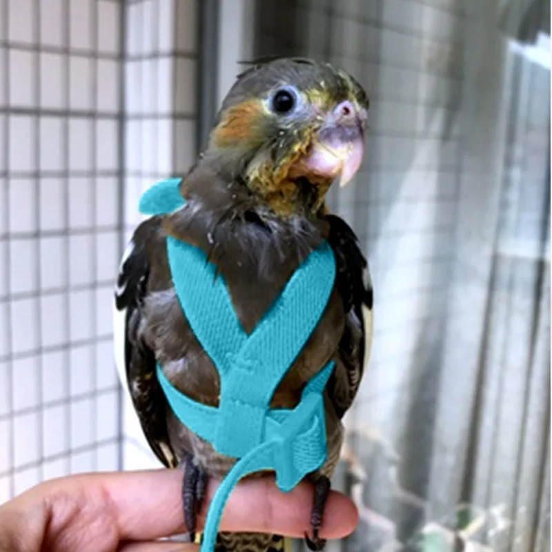 Papagei Training Harness Leine Set Anti-Biss Outdoor Fliegen Seil Für Nymphensittiche Kleine Vögel Liefert – Detail 13