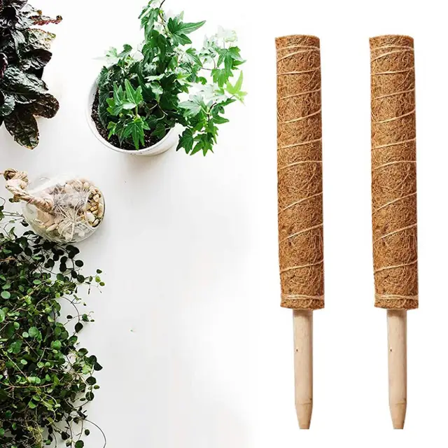 Növénytámogató Pólusú Fa, Tartós Egymásra Rakható A Beltéri Növényi Kókuszmos Totem Pólushoz Növényekhez