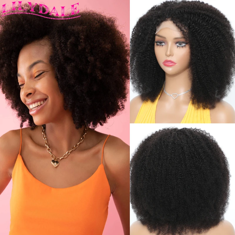 

4x4 Afro Kinky Curly Lace Closure Wig Human Hair HD Transparent Lace Pre Plucked With Baby Hair Can Be Dyed & Bleached Lilydale