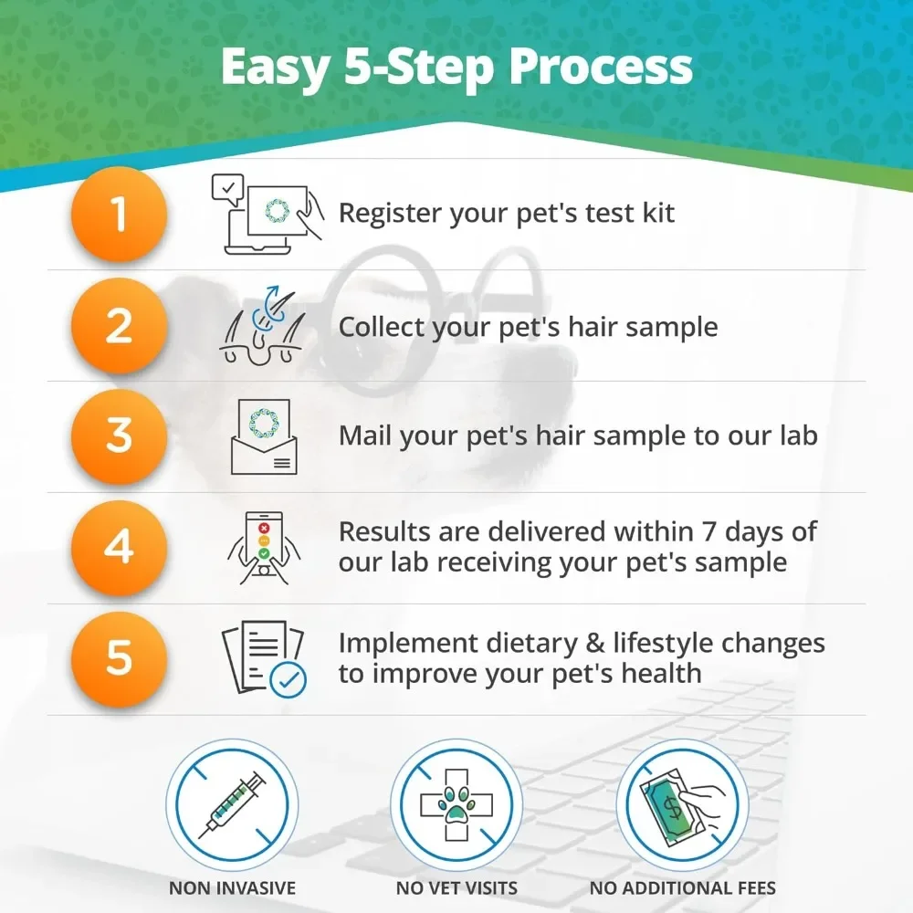 Pet Food and Environmental Intolerance Test at Home Sensitivity Test for Dogs Cats Hair Sample Collection Kit 395 Items Tested