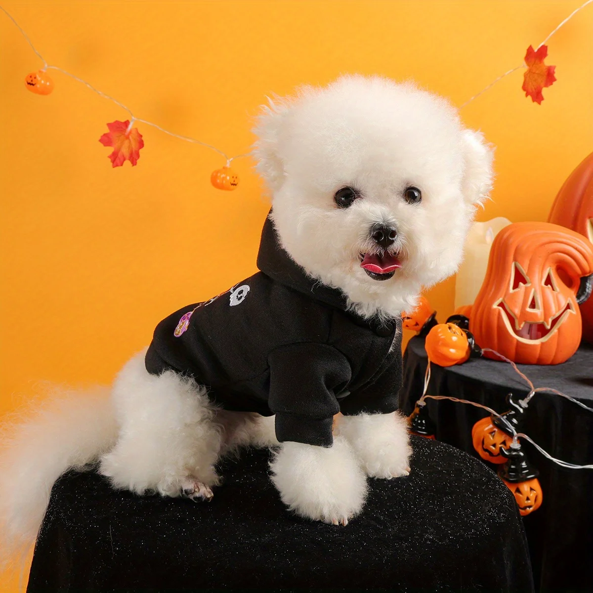 Spider Web Halloween Pet Sweater – Hooded Jacket for Dogs & Cats 3