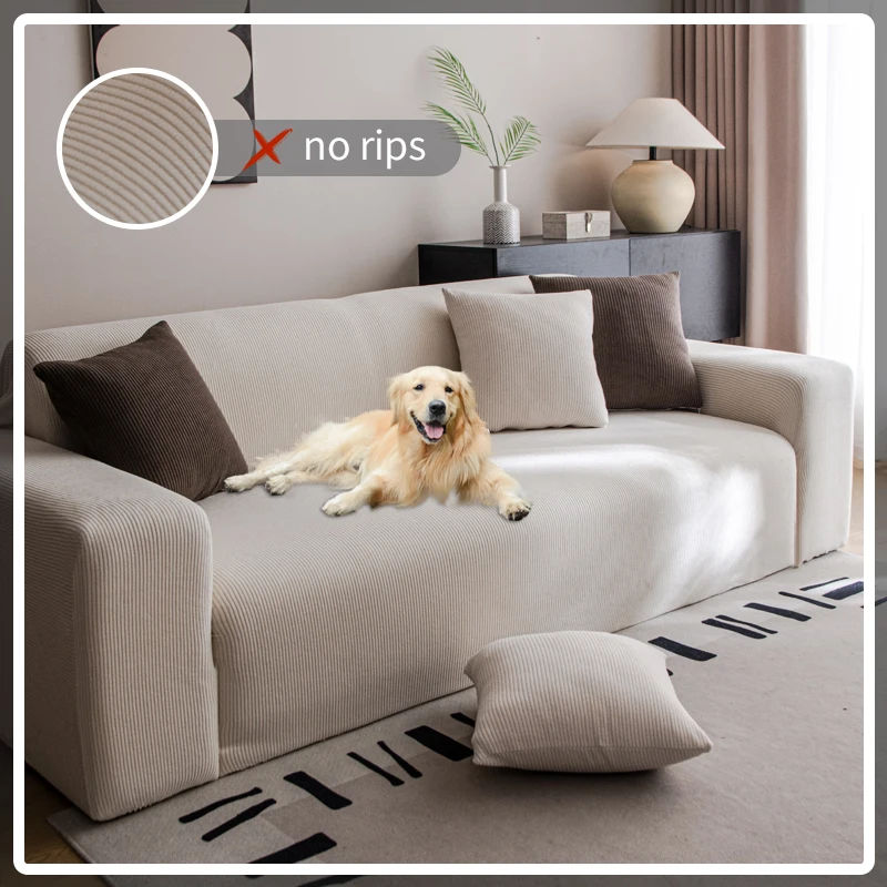 Slide image fd799f37164d480e921b11468be6cc23