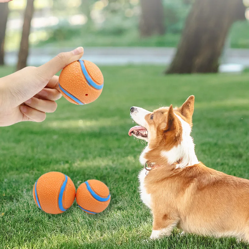 Balle jouet résistante pour animaux de compagnie, balle à mâcher pour chiots, balle élastique solide, accessoires pour animaux de compagnie GWFD09_voghion.com
