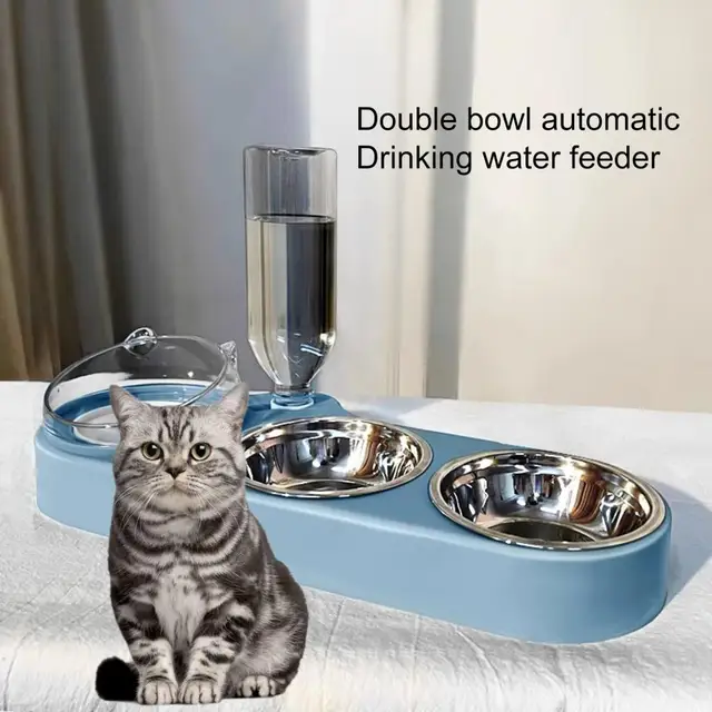 High-Capacity Pet Feeder Bowl Set with Beveled Mouth Automatic Drinking Water Splash-Proof Multi-Functional Cat Dog Food Bowl 2