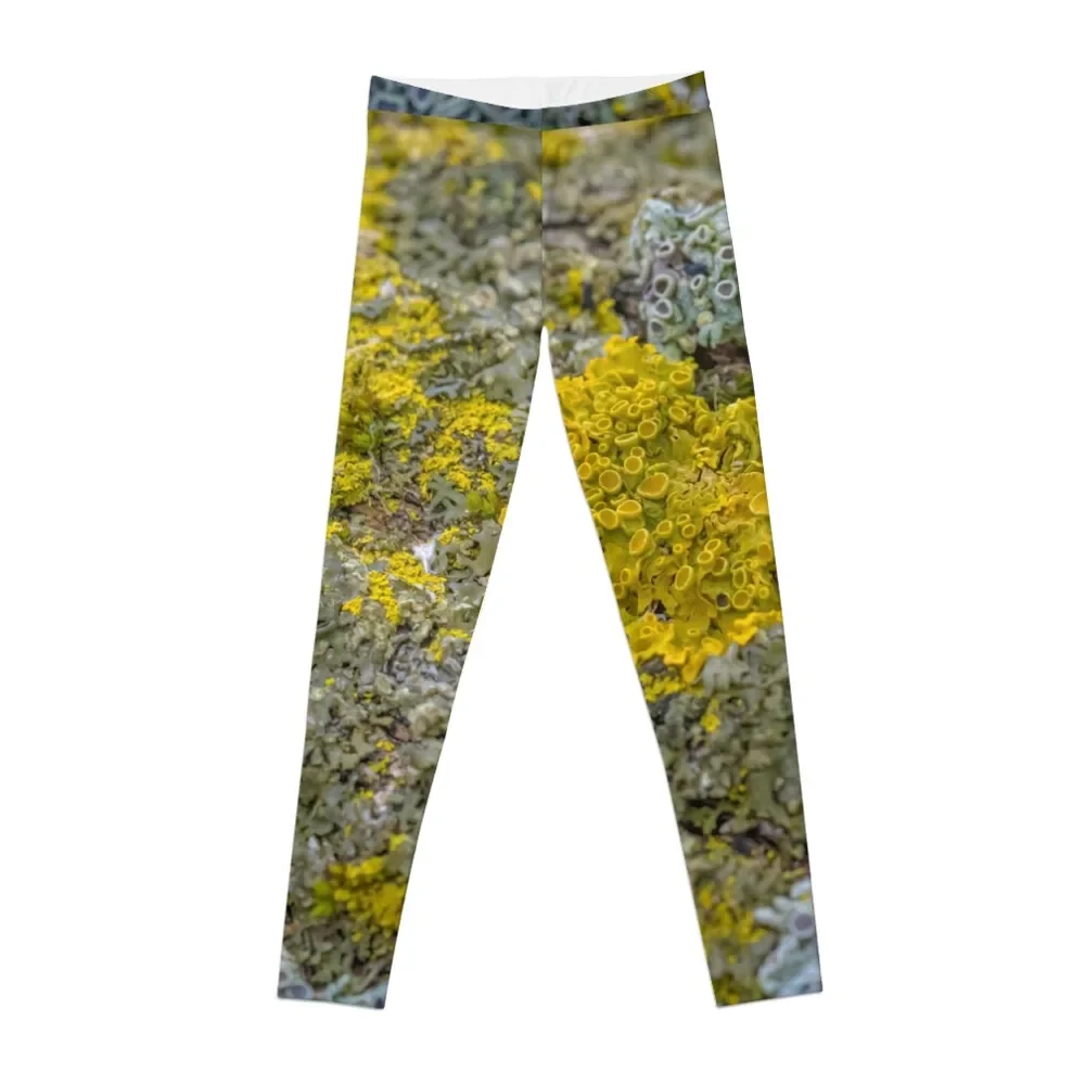 

Женские леггинсы для игры в гольф