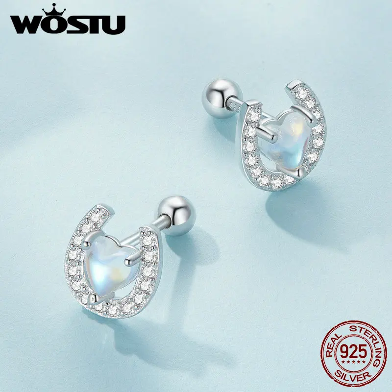 WOSTU  럭키 말굽 스터드 귀걸이 여성을위한 레인보우 월장석 지르콘 귀 클립 Pendient 소녀 생일 선물