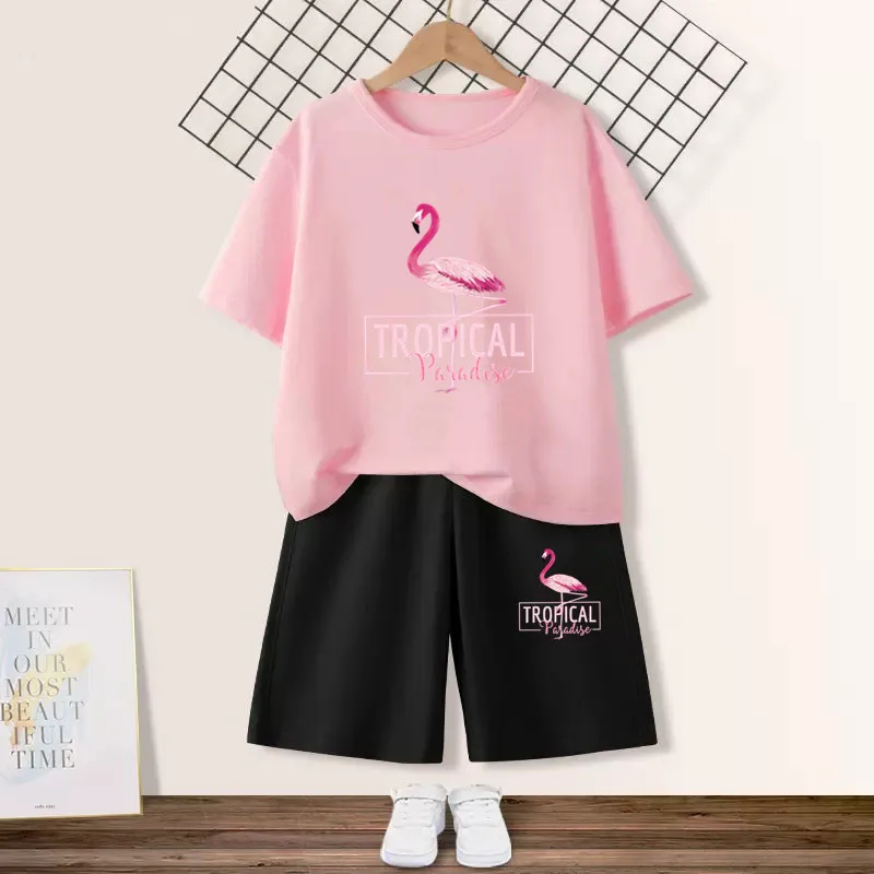 

Girls Cartoon Flamingo Printed Suits Kids Girls Summer Fashion Short Sleeve T Shirt+Shorts 2pc Set Children Party Outfits