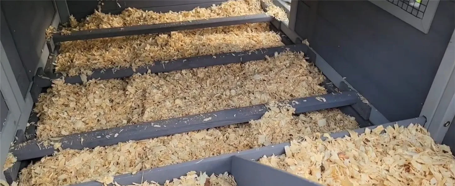 large chicken house