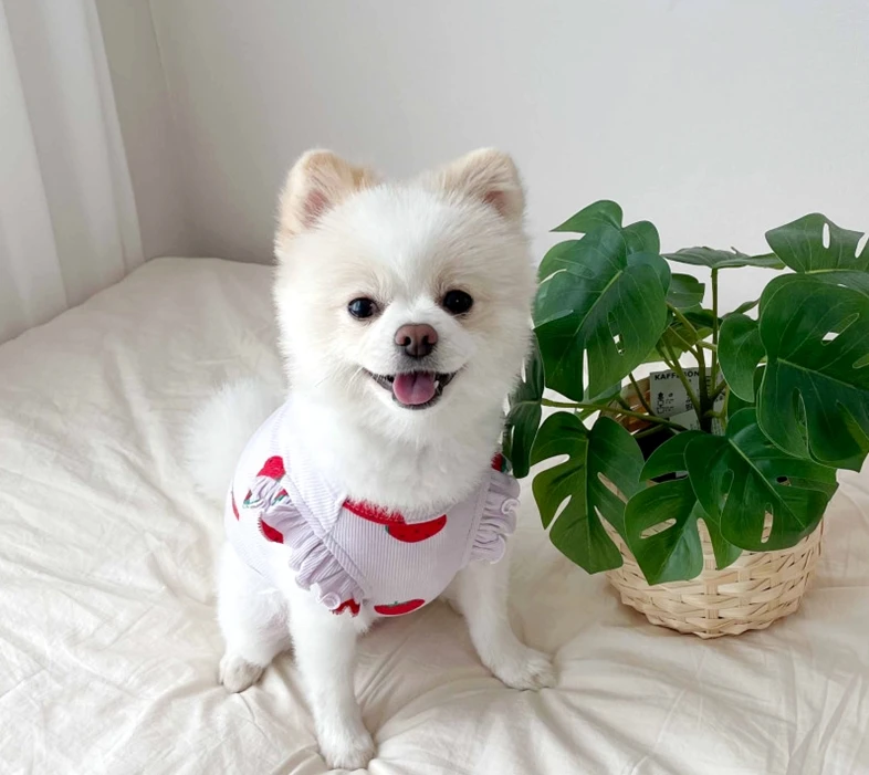 Sd061f1442a044003a5b7e00fcef59a90g