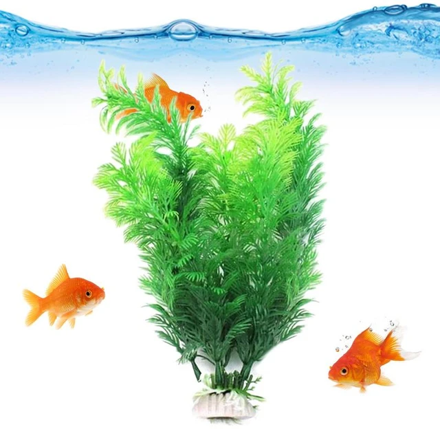 Picture of Goldfish Tank Decorations