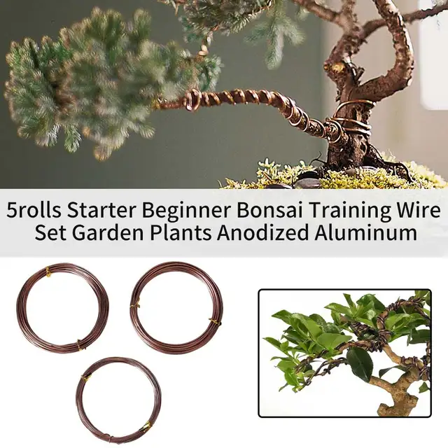 5Rolls Bonsai Edzéshuzal -Készlet Eloxált Alumínium Kezdő Művészek Növények Kerti Könnyű Hajlítás 147 Láb Teljes Barkácsolás Kézműves - Image 2