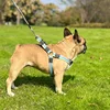 2m Long Dog Training Leash Pet Lead Non-Slip Rubber Nylon Training Walking Rope Work Dog Leashes For Small Medium Large Big Dogs 5