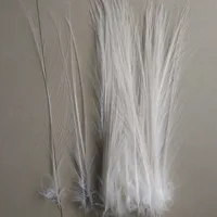 50pcs Natural White Heron Feathers 6-8 inches 3