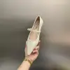 2025 Spring and Autumn New Fashionable Silver Mary Jane Shoes French Pointed Flat Bottom Women's Leather Shoes 6