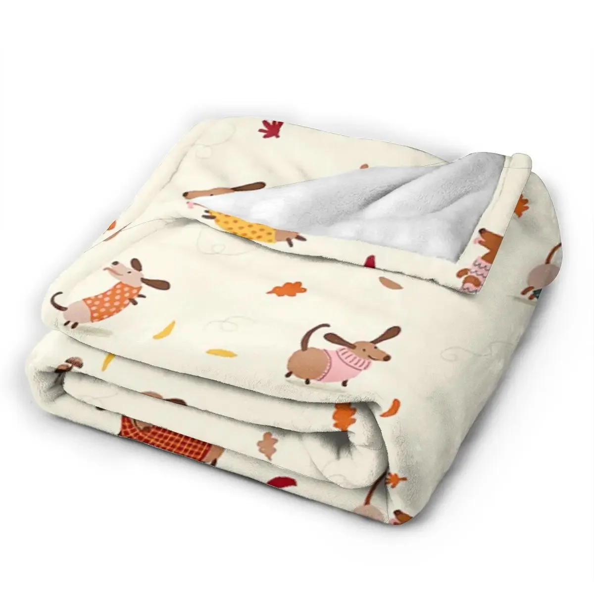 �ڽ���Ʈ ������ ���, �ε巴�� ������ �ö��� ������ ��� Ŀ��, ħ�� �Ž� ��ũ�� ���� Ȩ ����