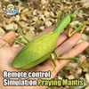 RC Animal Robot Antistress Insect Toys Infrared Simulation Spider Bee fly mantis Electric Toy for Children Prank Insects pet toy 1