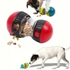 Interactive Dog Snack Dispenser Toy 5