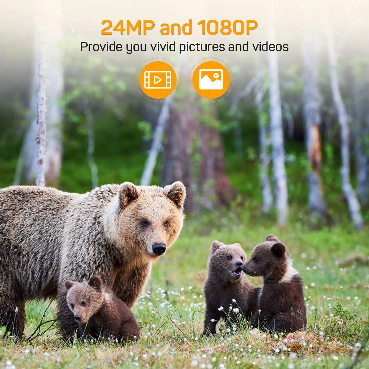 Wildlife Hunting Trail Camera 1080P 24MP Night Vision Infrared Wild Cameras HC801A Wireless Photo Traps Tracking Surveillance