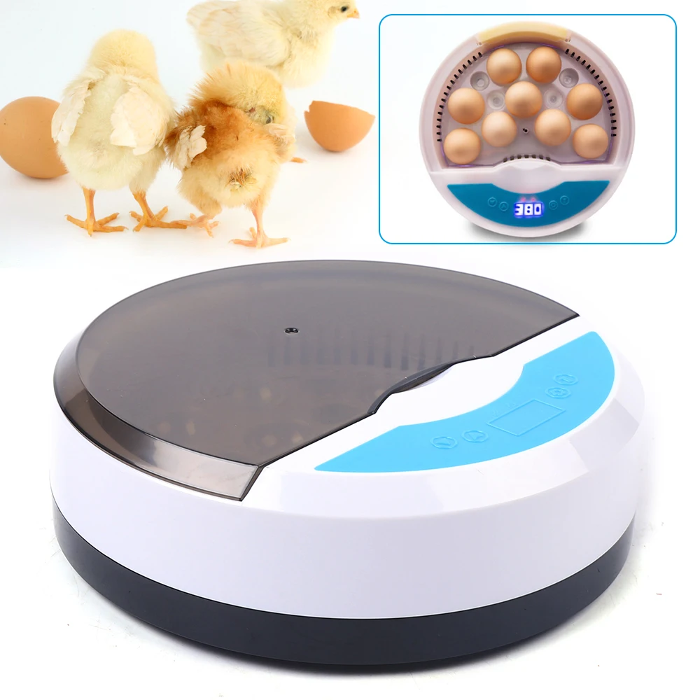 Mini Eggs Incubator Brooder Bird Quail Chick Hatchery Hatcher Farm Tray Automatic Poultry New Tools Incubation Incubator