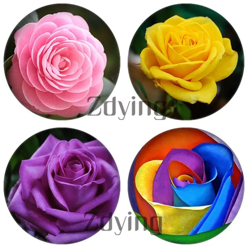 10pcs 아름 다운 화려한 장미 꽃 라운드 유리 카보 숑 & 유리 사진 돔 보석 ..