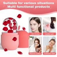 Moule à glaçons en silicone pour le visage, 1 pièce, pour la beauté et les soins de la peau, rouleau à glace pour le visage 4