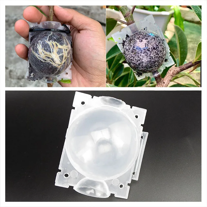 Plant Rooting Box Plant Rooting Pot 5cm Garden Fruit Tree Plant Rooting Ball Root Growing Boxes Case Grafting Rooter Grow Box Breeding Garden Tools Supplies M20