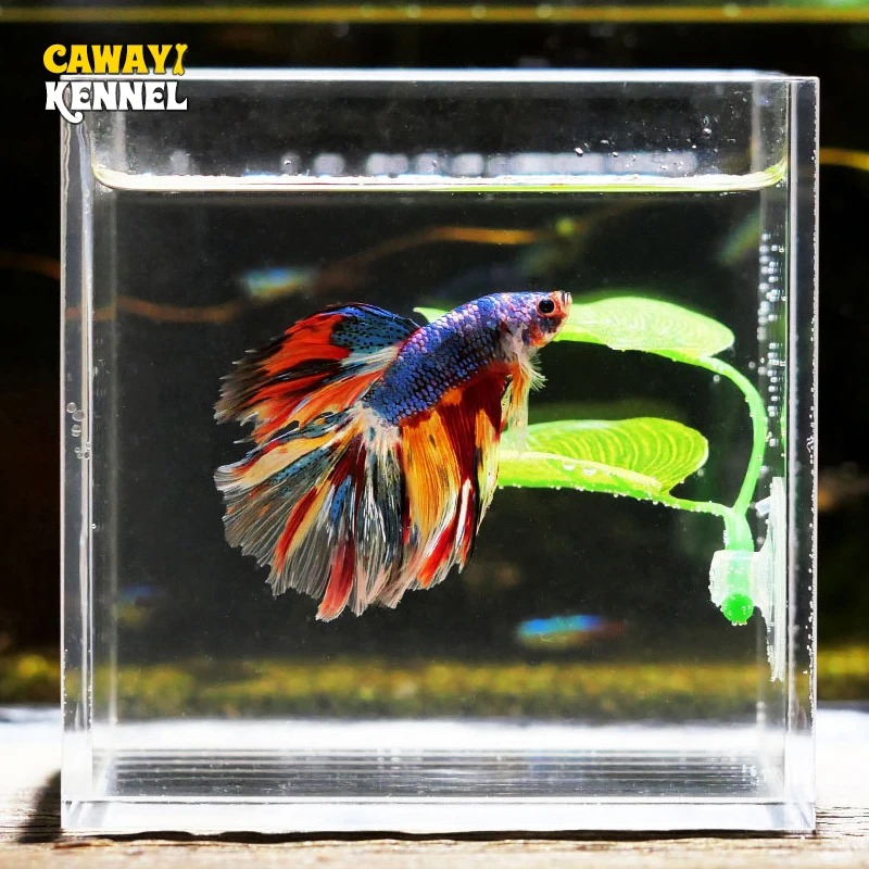 Artificial Underwater Plants Aquarium Fish Tank Seaweed Decoration Grass  Viewing Decorations Betta Resting Spawning Leaves D9235