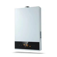 Chauffe-eau portable 13L à gaz GPL pour camping et VR, sans réservoir, haute qualité, pour gaz naturel - Vente en gros 1
