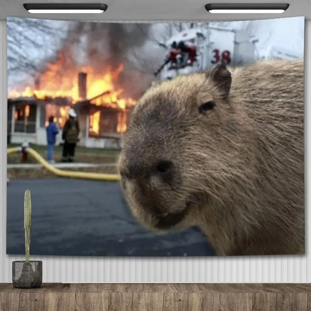 Discover more than 77 capybara meme anime super hot - in.coedo.com.vn