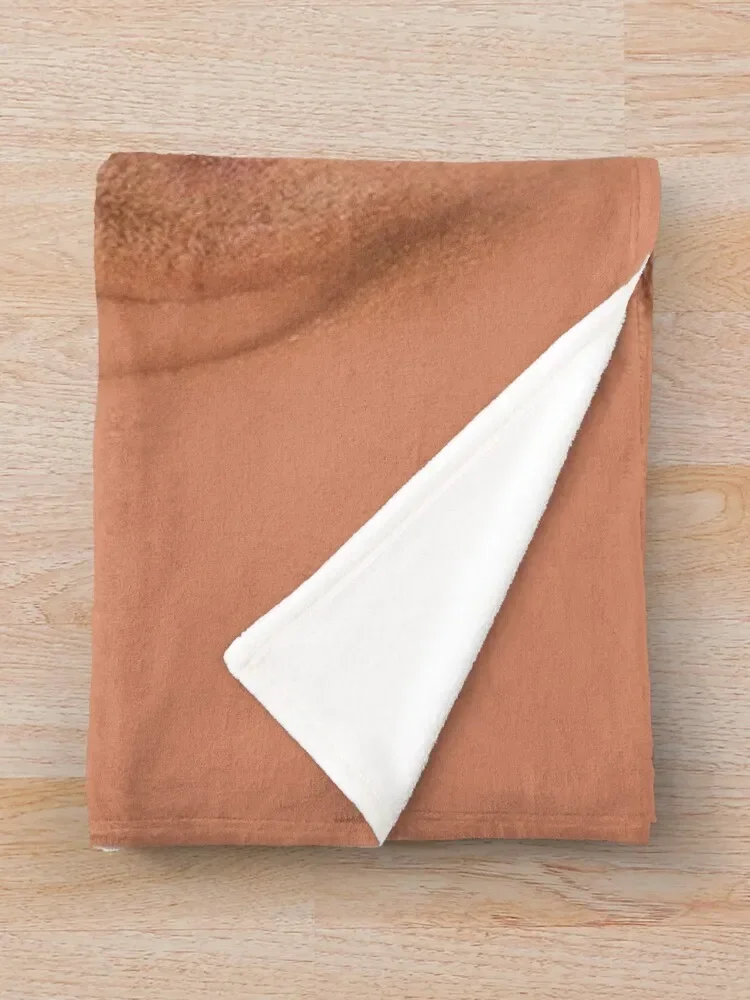 Dwayne ������ ���, �����̴� ������ �ܿ� ���