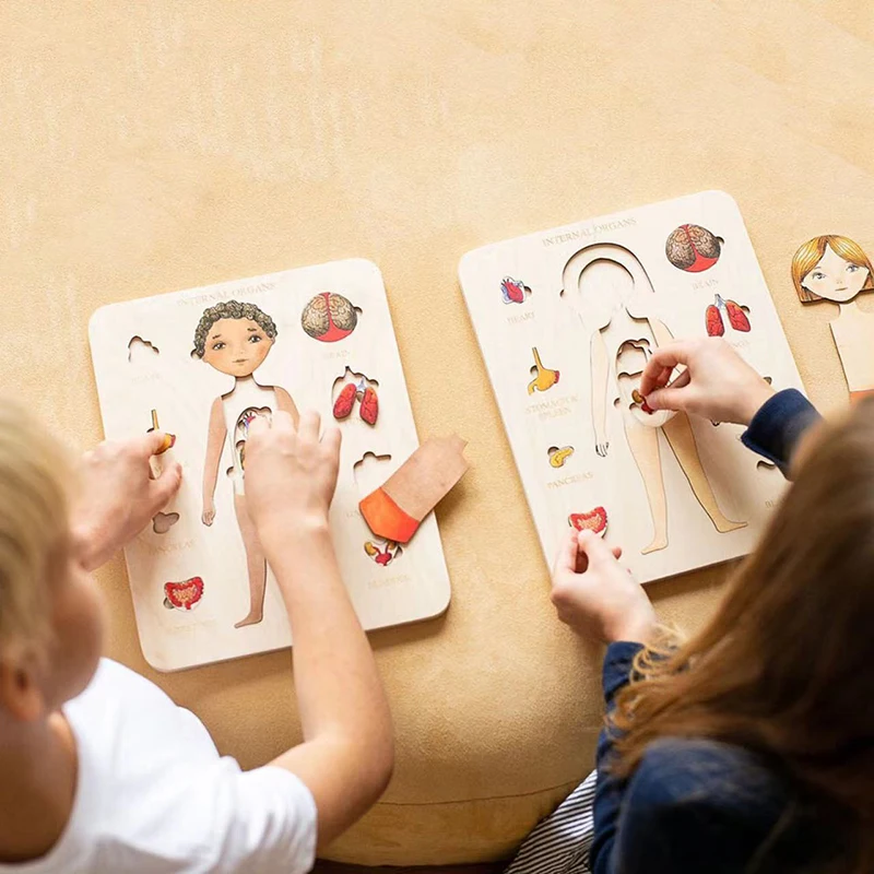 Montessori Wooden Toys Human Body Puzzles Organs Educational Wooden Jigsaw Boys Girls Anatomy Play Set Match Board Game Gifts 6