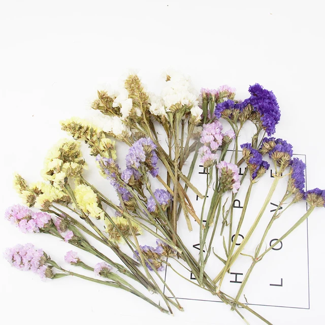 1 Box Forget-me-not Dry Flowers for Resin Crafts DIY Aromatherapy Candle  Real Dried Flowers Jewelry Wedding Gifts Making Accesso