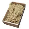 1Pack Dry Thorn Branch Artificial Tree Trunk DIY Model Making Material Miniature Garden Landscape Diorama Scenery Accessories 5