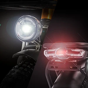 fat tire electric bike