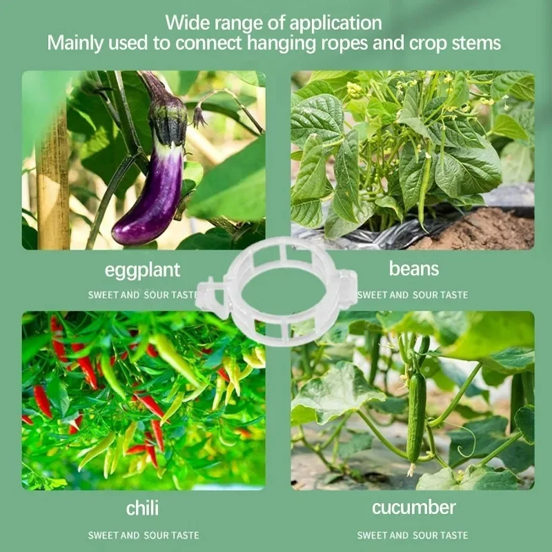 Campioni gratui di clip per piante di pomodoro biodegradabili in PLA per fissare la ve del pomodoro - Cina Clip per pomodoro e clip per fissaggio vegetale prezzo