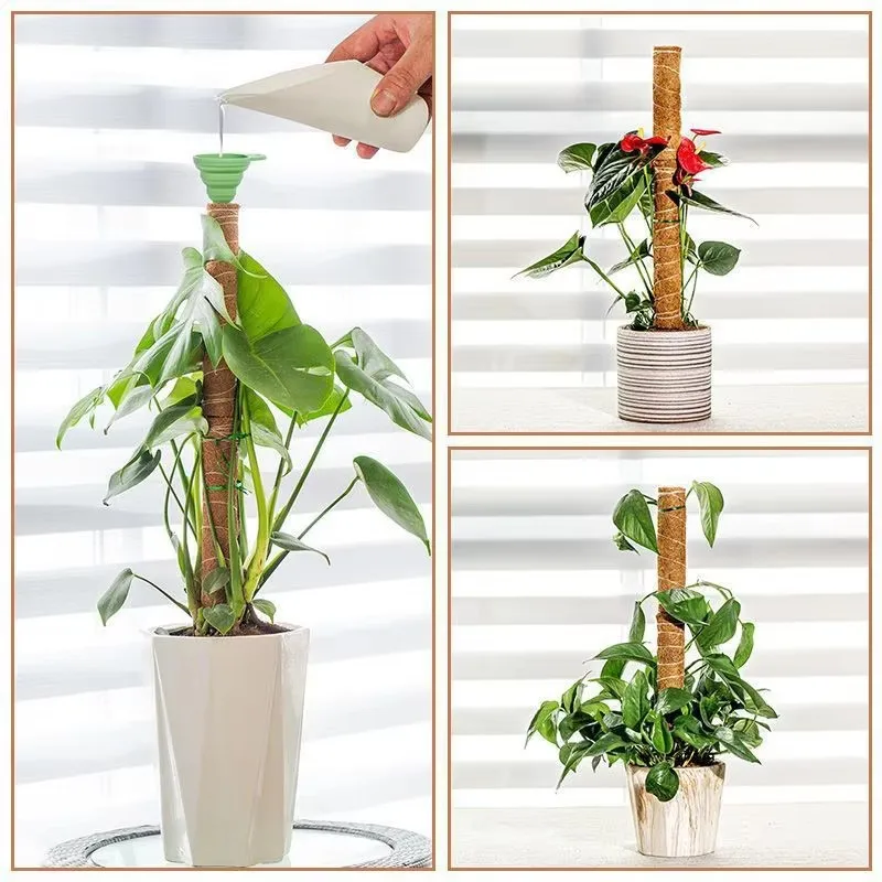 Plant Climbing Support Indoor Climbing Plants Stake Sphagnum Moss Coconut Fiber Creeper Frame