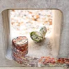 Mr. Paper, 200cm/roll, Stone Wall Path PET Sticker Tape, Collage Scrapbook Notebook Diary Stationery Sticker 4
