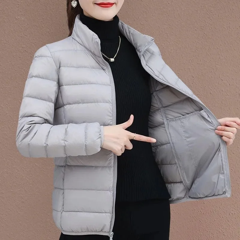 Gray (female Stand Collar)/temperament woman