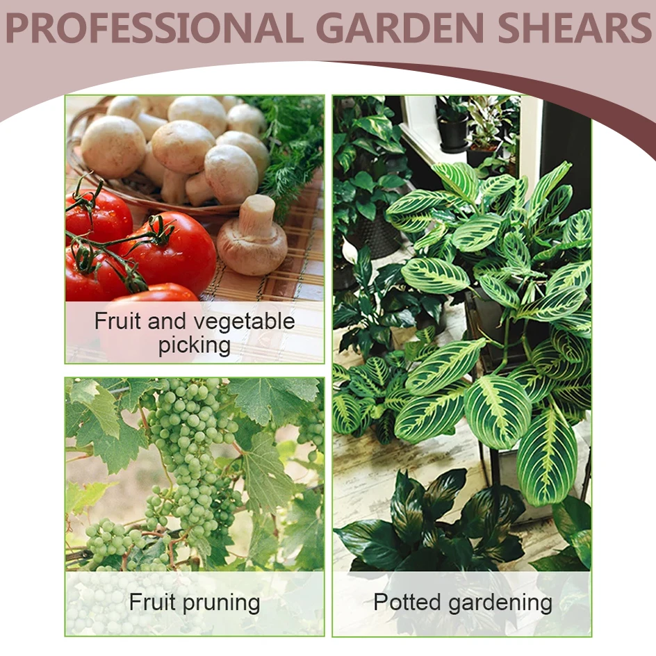 스테인리스 스틸 원예 가위, 핸드 전정 가위, 트리밍 가위, 포도 과일 따기, 잡초 가정용 화분