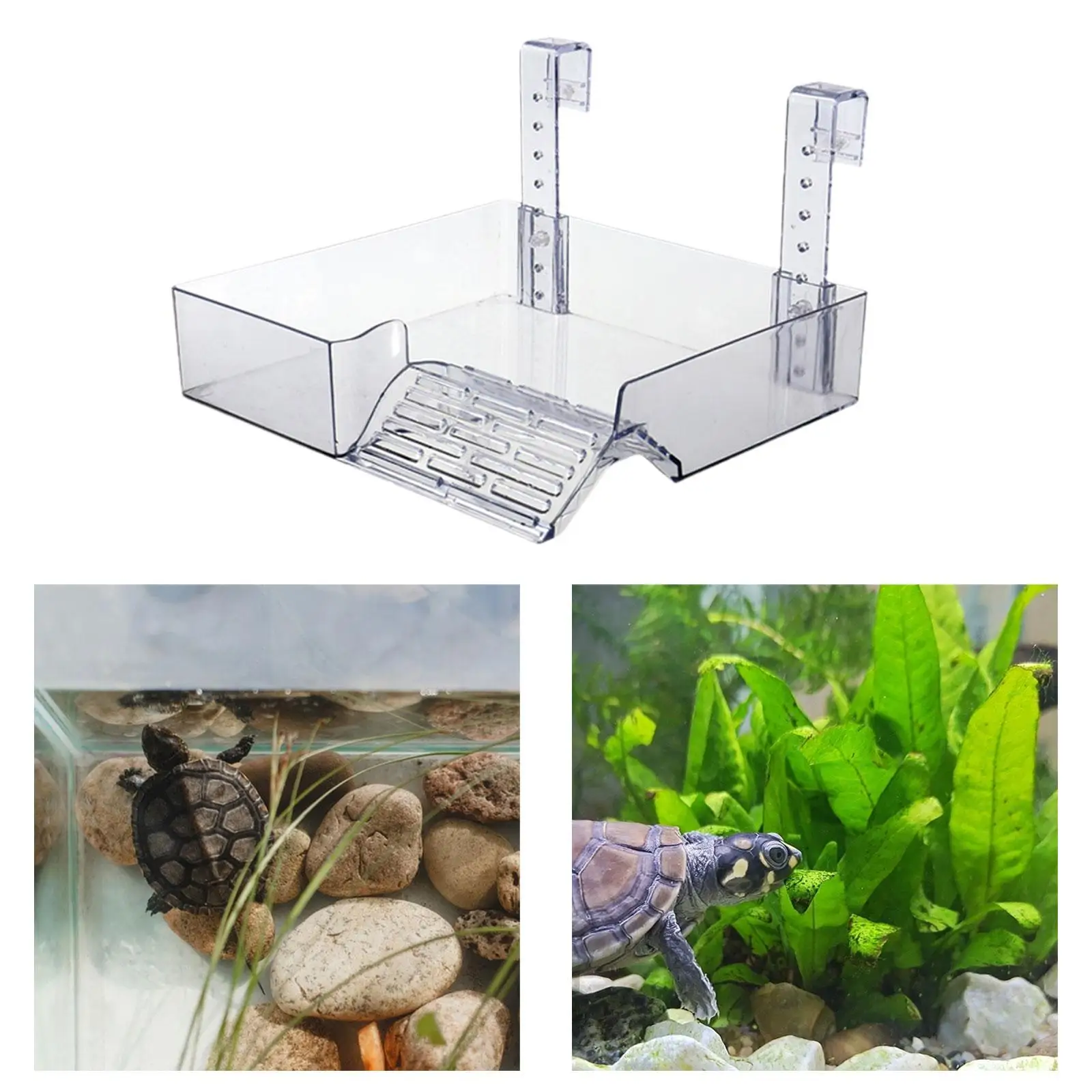 Hanging Turtle Basking Platform Resting Terrace Transparent Tortoise Ramp