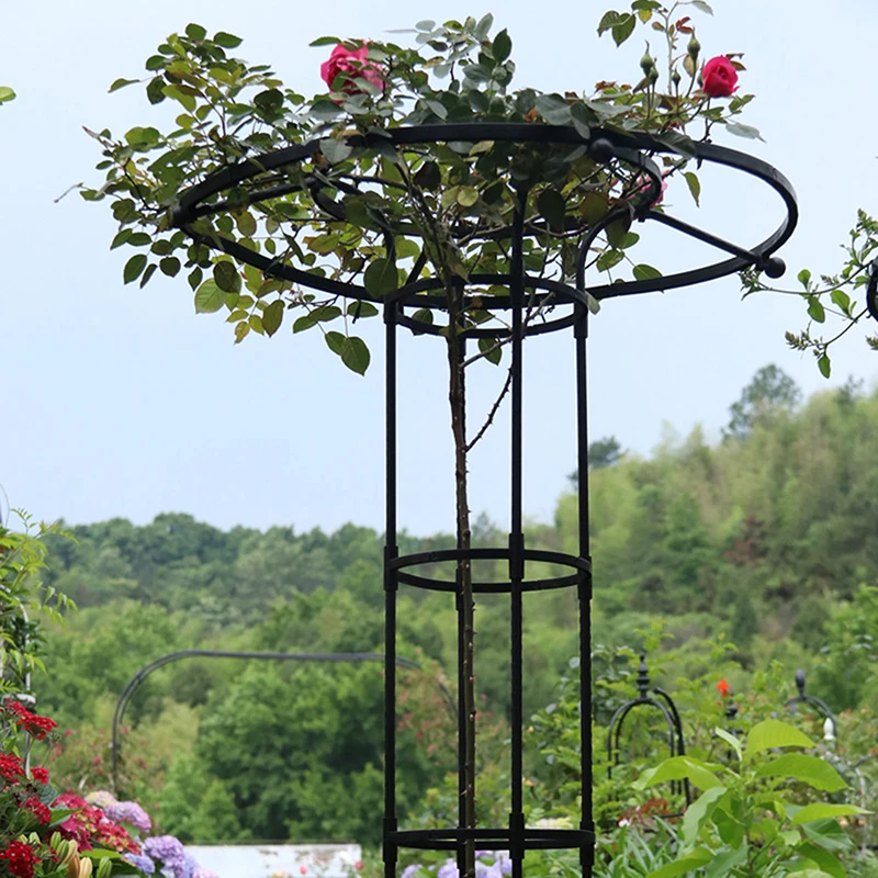 Traliccio Da Giardino In Metallo Per Piante Rampicanti | Obelisco 160 Cm | Tubo Acciaio Rivestito | Supporto Per Rose, Pomodori, Viti - 2