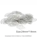 Sliver 24x14mm